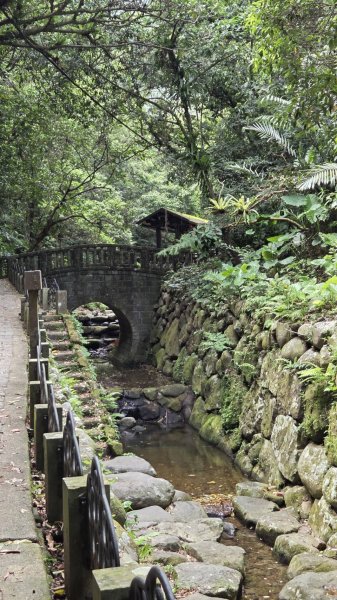 20260808 虎山親山步道3099951