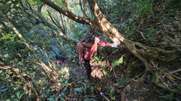 忘憂古道往白石後仙洞由東勢格古道走到平溪國中2908188