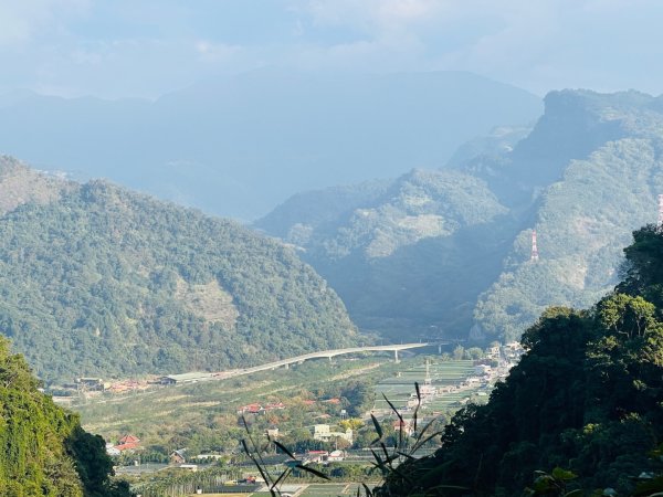 1141207金童山2957731