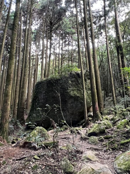 中級山-加里山2636900