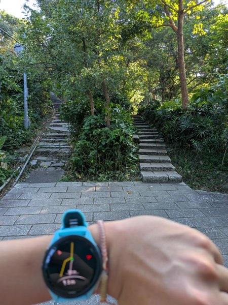 2025-06-21 臺北大縱走第五段來回 & 大崙頭尾山親山步道2818763