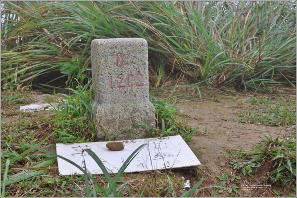 萬人山-2023年11月12日2347860