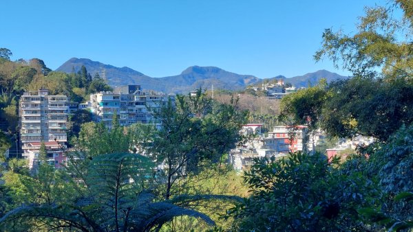 新店小粗坑赤蘆古道越嶺O型2784399