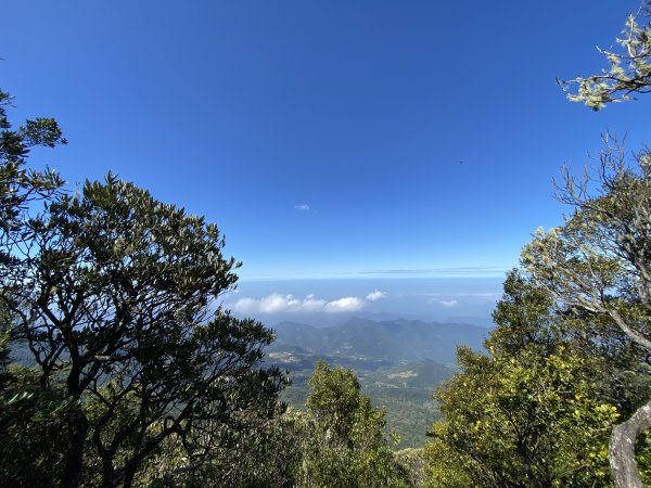 苗栗-加里山 杜鵑嶺869130