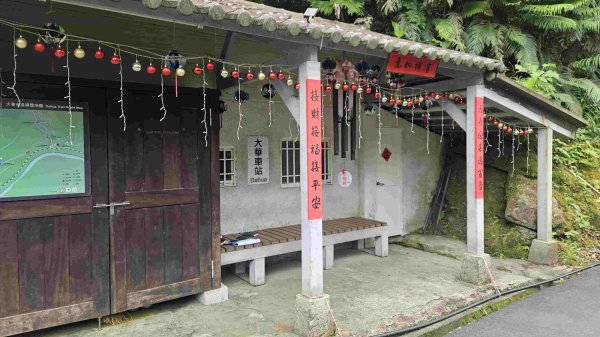 20250523千階嶺步道-平湖東西步道-乾坑古道2796219