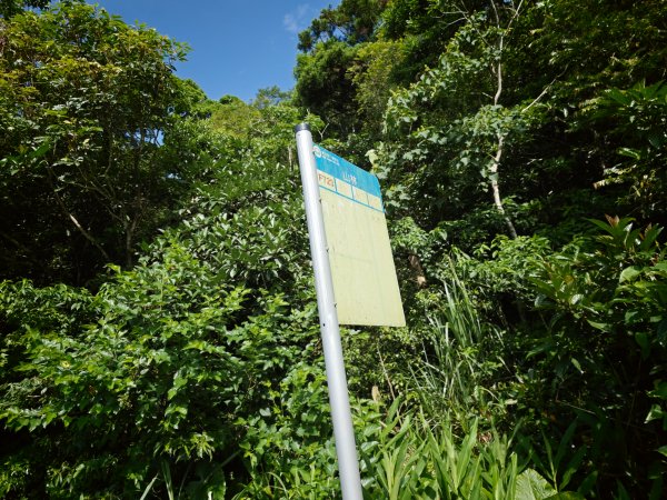 [淡蘭古道] 2026_0524 南路第四段_四堵古道(上)-山林崙3069865