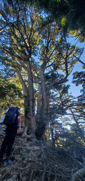 2025國慶連假_南湖群峰7座百岳行2916922