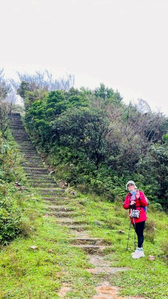 🌈11/2草嶺古道~桃源谷~灣坑頭山~大里天公廟✨FB：熊熊趴爬走🌈2928854