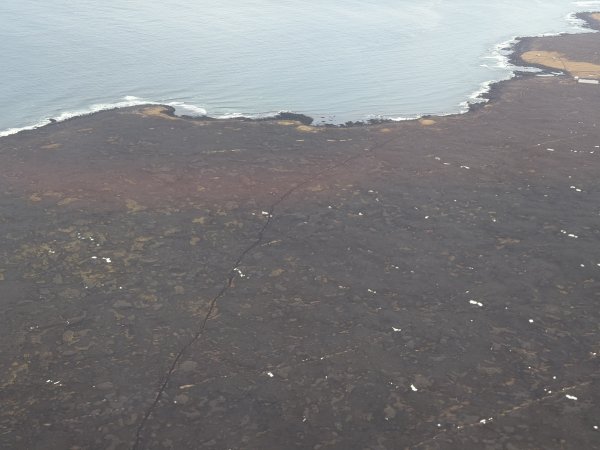 [紐約馬之行-50] 2025_1109~11 回到冰島/美國2952661