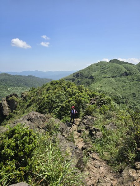 20260426 新北金瓜石半屏山無耳茶壺山3050525