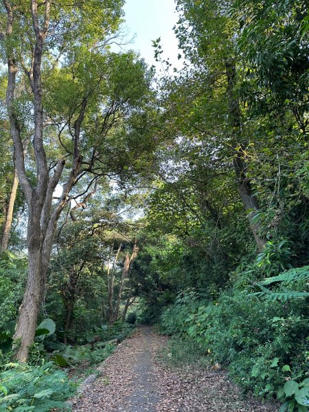 田中森林公園登山步道1889725