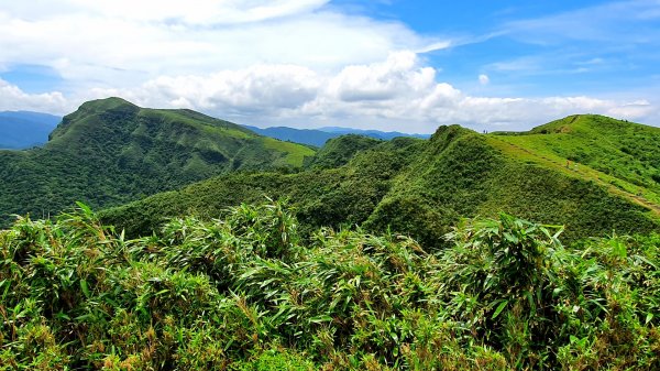 草嶺古道，跑馬古道，十一指古道，頭寮生態步道，金敏子山，詩朗山，王公坑山1721945