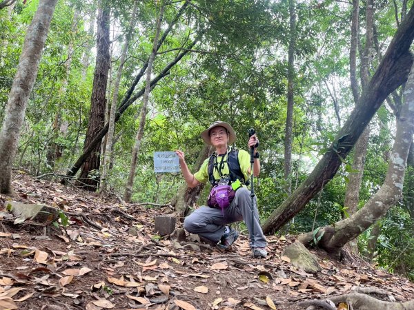 台中 和平 東卯山2771819