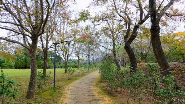 明德水庫,劍潭古道2677128