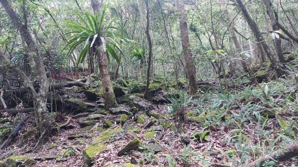 花蓮太魯閣綠水文山步道1791814