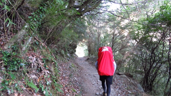 超越自我奇萊南華行24211