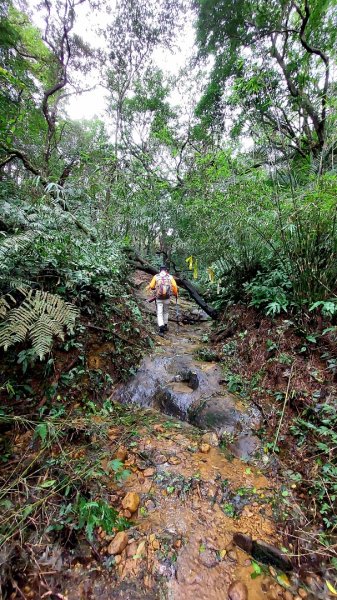 基隆八上七下縱走2785120