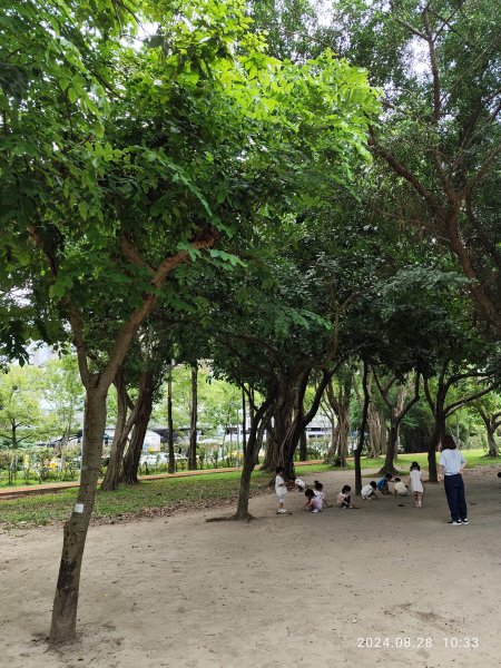 大安森林公園、港墘公園、大港墘公園【走路趣尋寶】【臺北健走趣】2582372