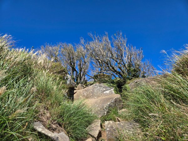 大屯主峰-連峰步道環形（小百岳）2904364