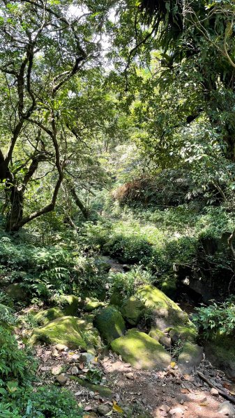 新北｜瑞芳．雙溪 淡蘭古道中路．暖東舊道（TK2-1~2-5 暖東峽谷步道、暖東舊道、五分山步道）2004171