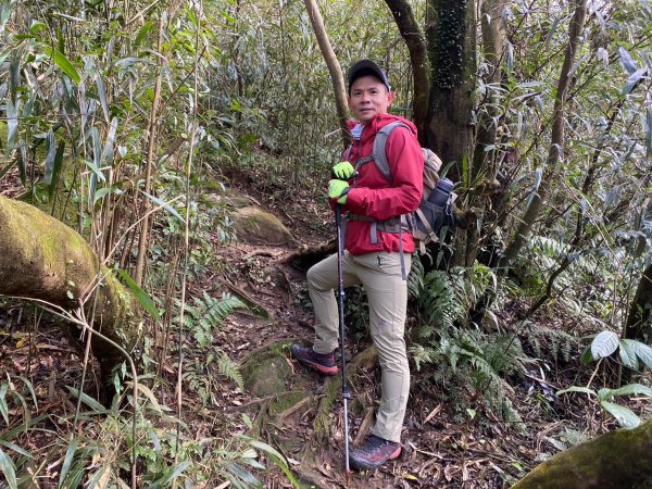 小觀音山群峰【當登山遇到惰性來襲時…】2686404