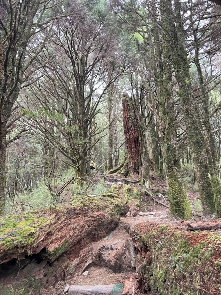 百岳-塔關山2695794