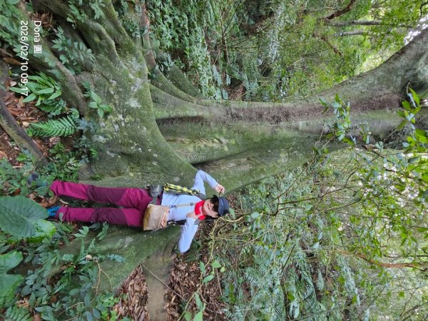 20260210南榮山.獅球嶺砲台群.劉銘傳隧道.天天鮮排骨飯2997133