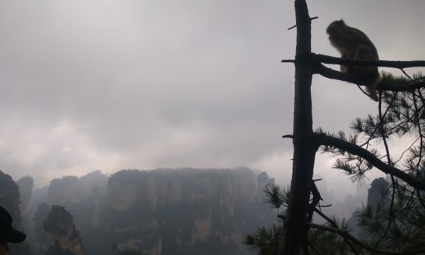 張家界20191414002
