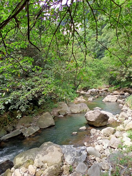 《龍飛鳳舞的龍鳳谷步道》1447233