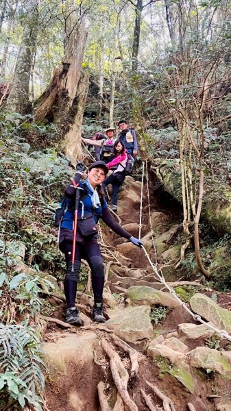 🌈3/15（日）北得拉曼神木+內鳥嘴山✨FB：熊熊趴爬走🌈3016846