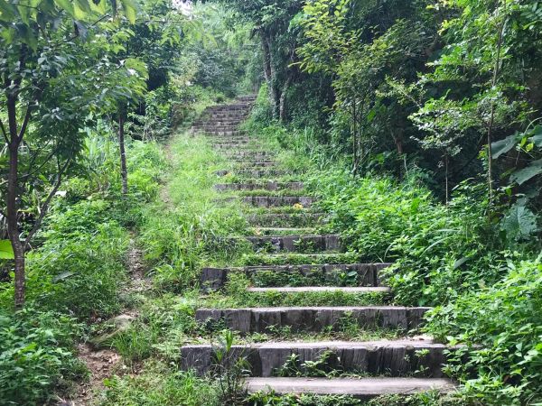 一江橋河堤道上三汀山370442