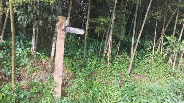 雲嘉九連峰1438916