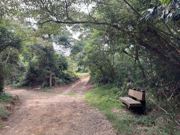 [皮皮獅探險隊-05/10] 2025_0706 石光古道2831855