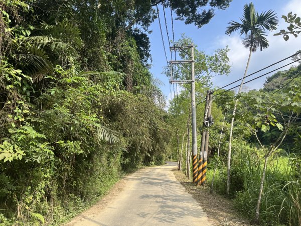 [皮皮獅Hike客任務-10/10] 2024_0831 十二寮古道2586590