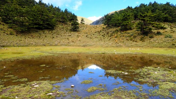 深秋綺麗山景和雲海的饗宴戒茂斯上嘉明湖山遊記2947343