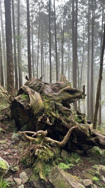 20240419-20松羅湖二天一夜2767348