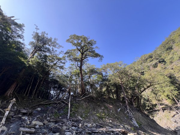 ~ 上帝的部落 - 司馬庫斯 ~3023521