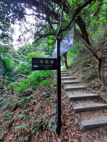《彰化》桃源里森林步道、龍鳳谷森林步道1047486