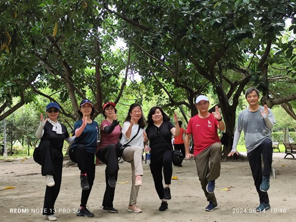 大安森林公園、高記上海料理、北師美術館【走路趣尋寶，全臺齊步走】2526021