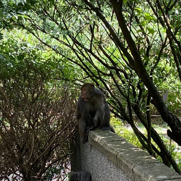 擎天崗停車場→金包里大路→上磺溪停車場→金包里大路→擎天崗環形步道→竹篙山→擎天崗停車場2192921