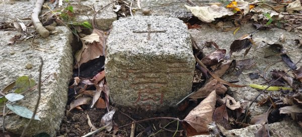 北埔一日遊-2025/12/142962609