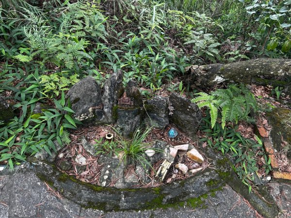 內湖鯉魚山之旅2811735