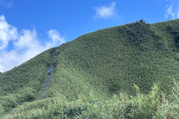 草嶺古道-大溪線-桃源谷-虎字碑-草嶺古道-福隆 202409092591679
