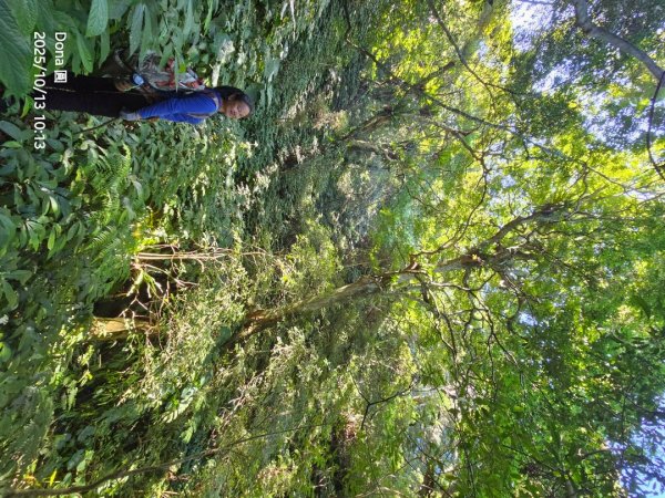 復興三尖老么之那結山1520m(嘎色鬧上)全紀錄2915484