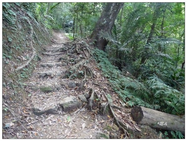 馬那邦山(小百岳)/南線天然湖登山口2344990