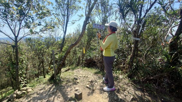 春天鮮綠的呢喃基隆荖寮坑古道上望古山登五分山O型2747336