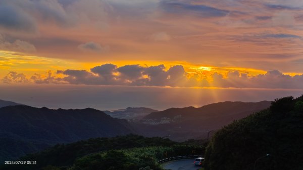 雲山水花鳥蝶 - 天龍國阿伯的日常7/18 & 21、22、292560012
