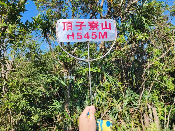 小百岳No.10⛰五分山2883149