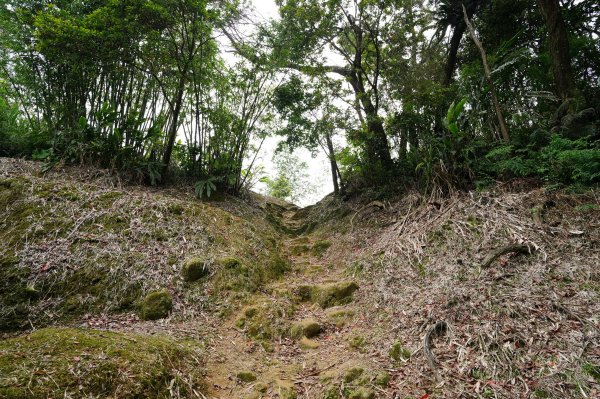 臺北 文山 指南山、猴山岳、魚衡山、大前坑山、猴山坑山、祥光寺後山、金頭山2774984