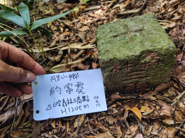 達娜伊谷-里美避難步道-巨石板步道-約富霓2788540